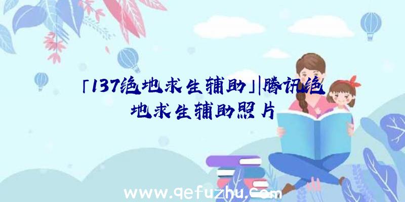 「137绝地求生辅助」|腾讯绝地求生辅助照片